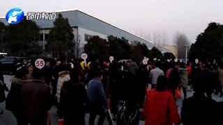 河北华林传销案进展,华林传销骗局