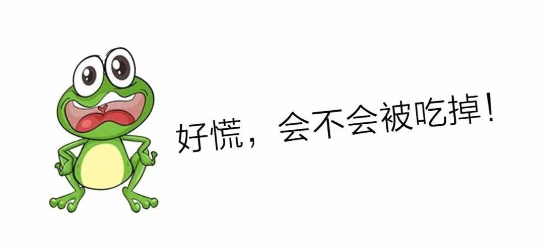江西有60多种蛇，12种剧毒蛇，小心它们！