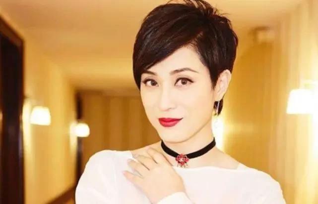 洪欣陈法蓉最近消息,洪欣陈法蓉合体综艺