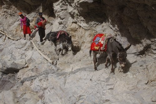 玄奘穿越帕米尔路线,帕米尔高原路线图帕莎古道