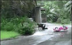 盘点十部必须要看的怪兽电影,给大家推荐一部大型怪兽电影