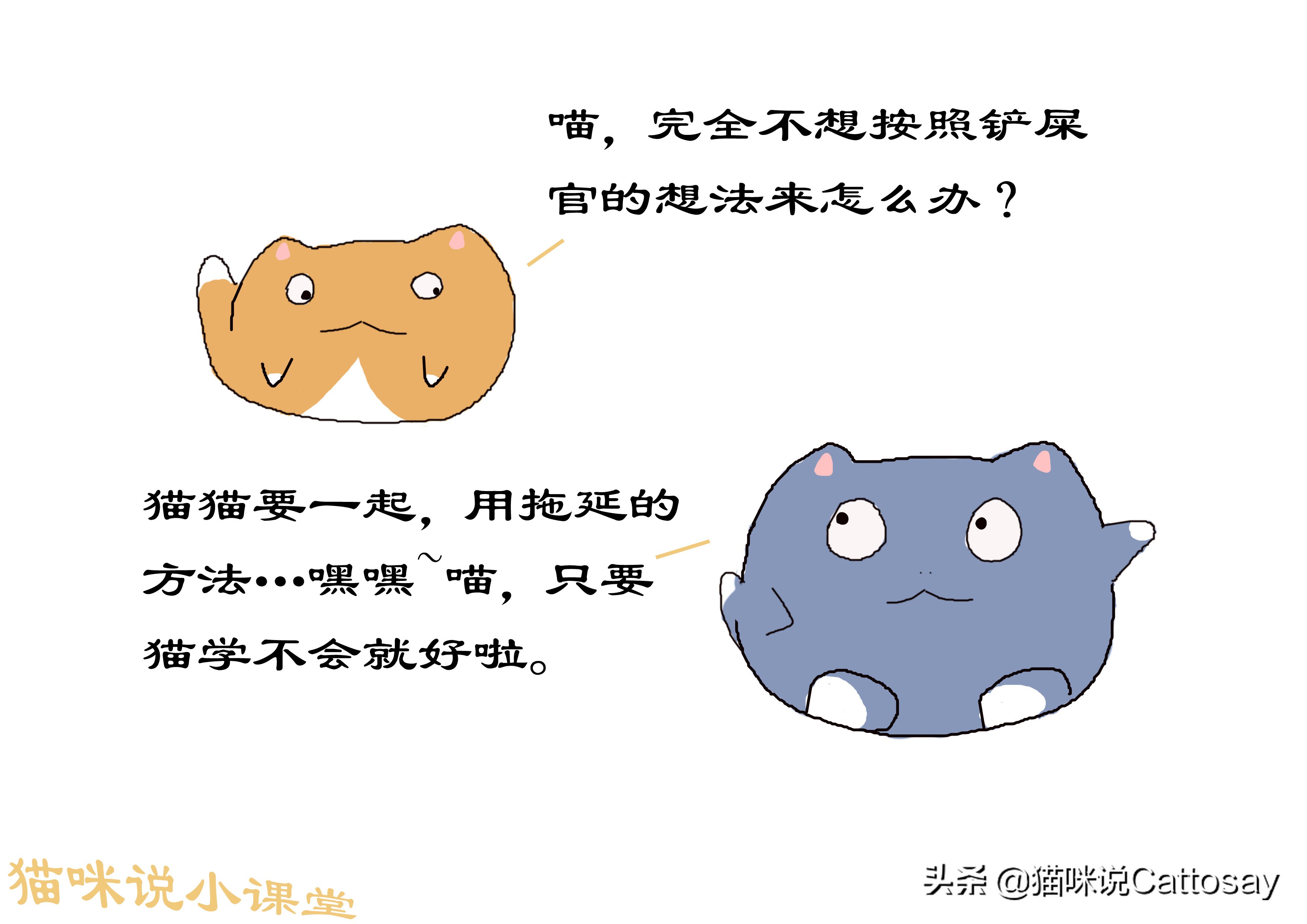 想养猫的精神状态,想养猫的人要注意什么