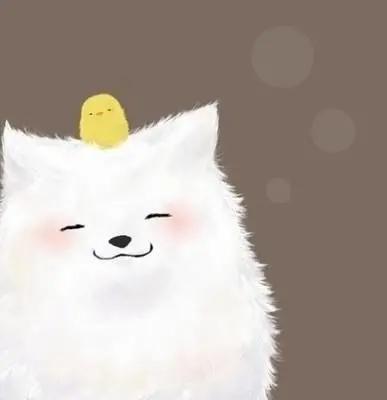 狗狗出门兴奋的解决方法,狗狗出门很兴奋乱叫怎么办