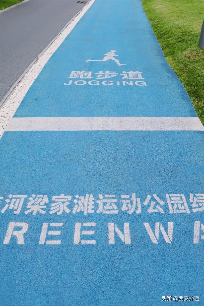 西安大草坪公园推荐,西安有大草坪的公园