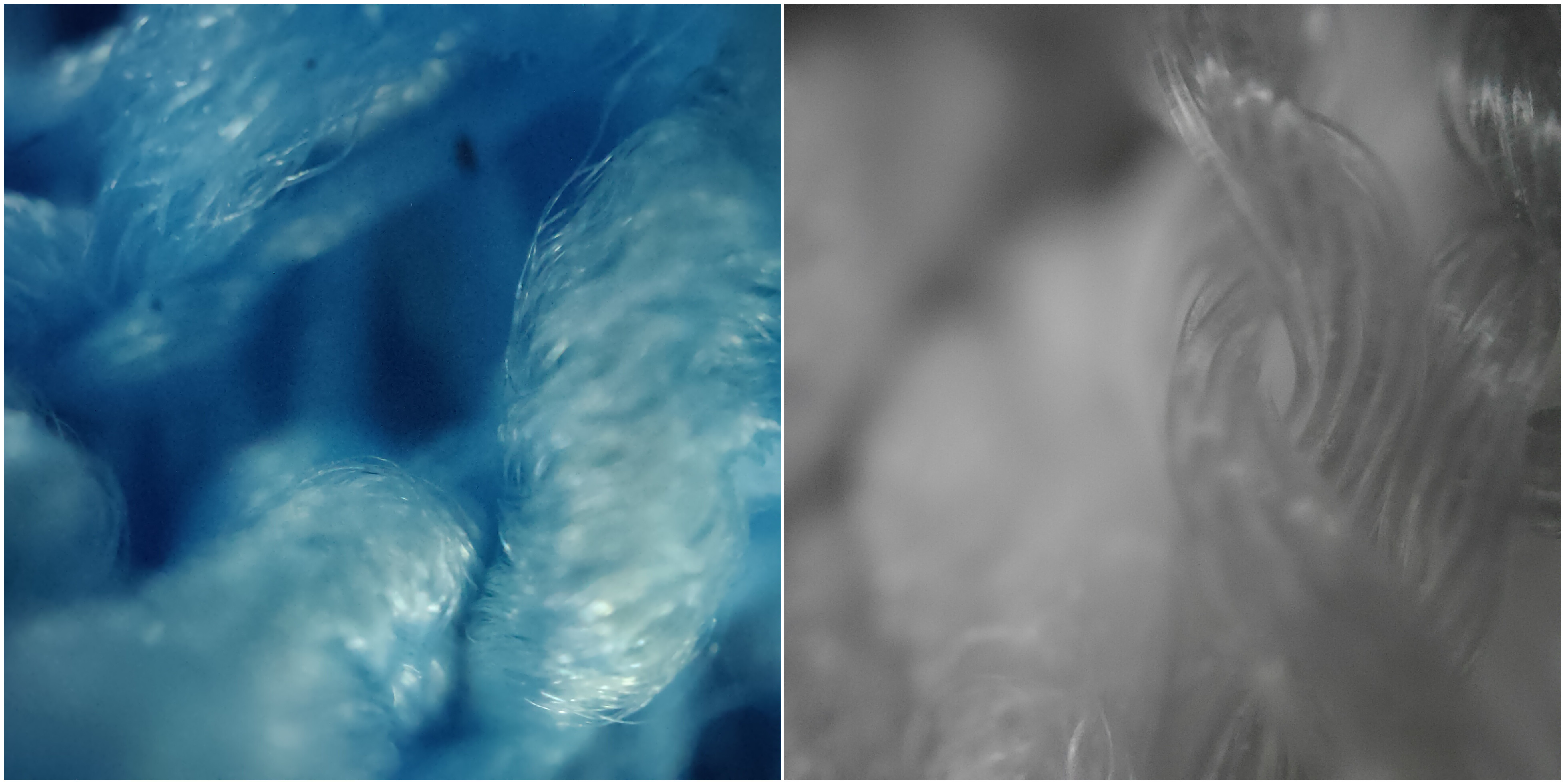 吸尘器贵和便宜的有啥不一样,吸尘器有线平价