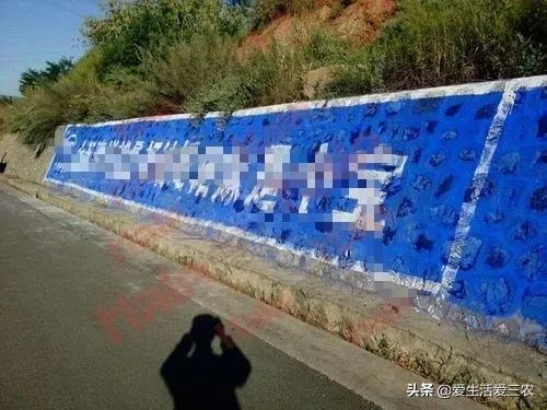 有哪些可以快速赚钱的小项目,老人项目里哪一个项目最赚钱