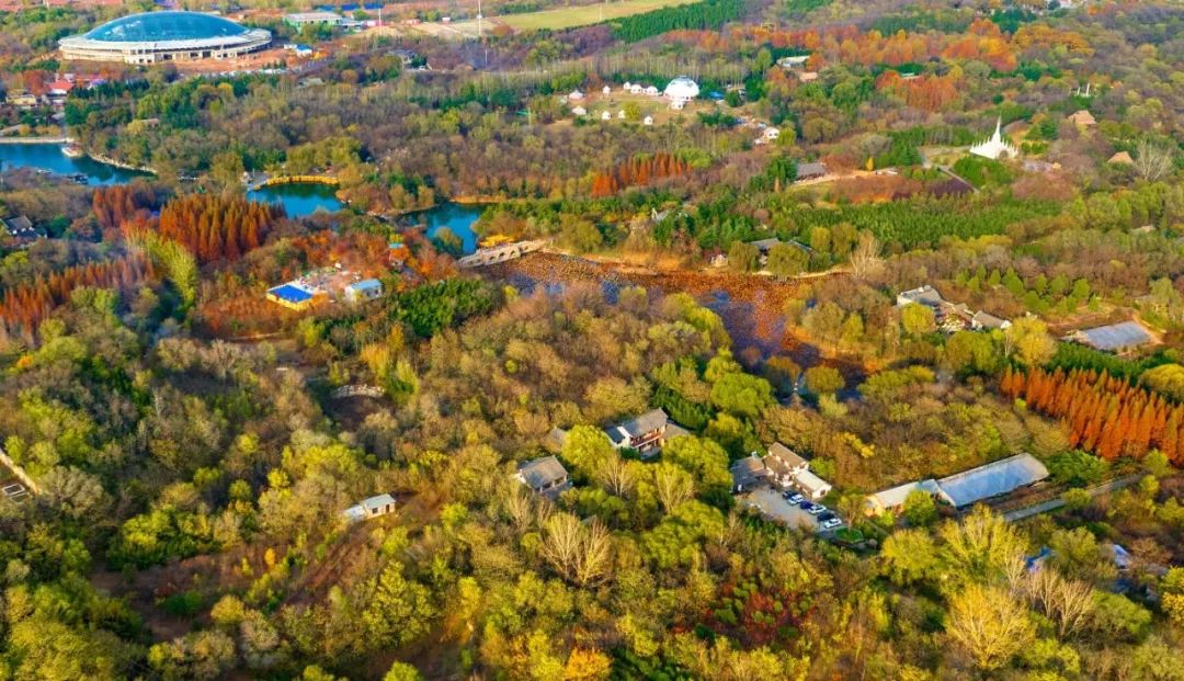《如今直上青云去》——潍坊安丘