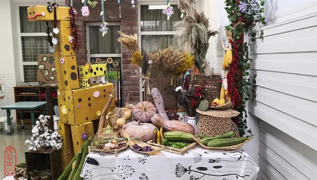 最美的风景美丽的校园,最美的风景就是校园