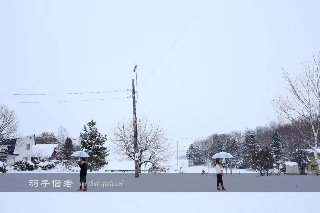 日本10天自由行费用北海道,东京北海道5日自由行攻略