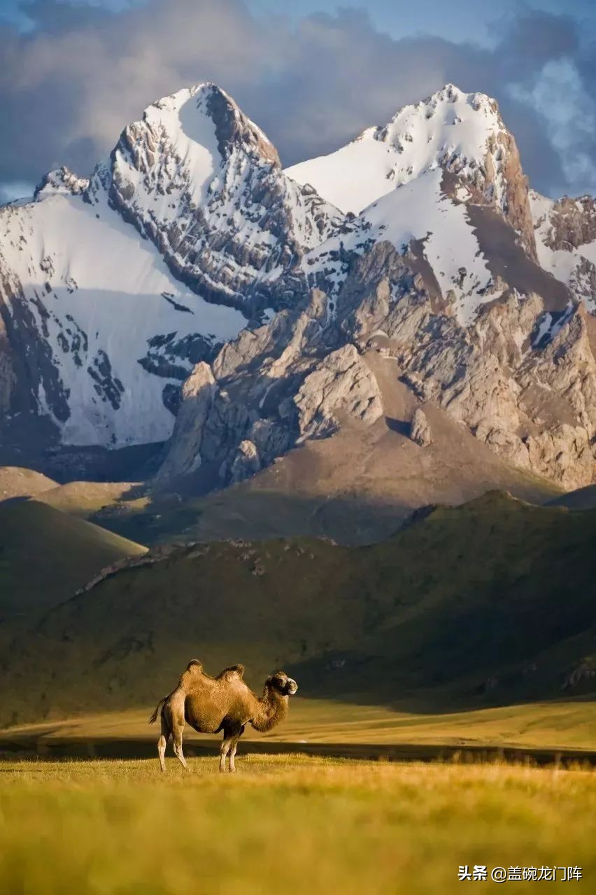 *疆新**往西，这片神奇的处女地，去一次相当环游大半个世界！