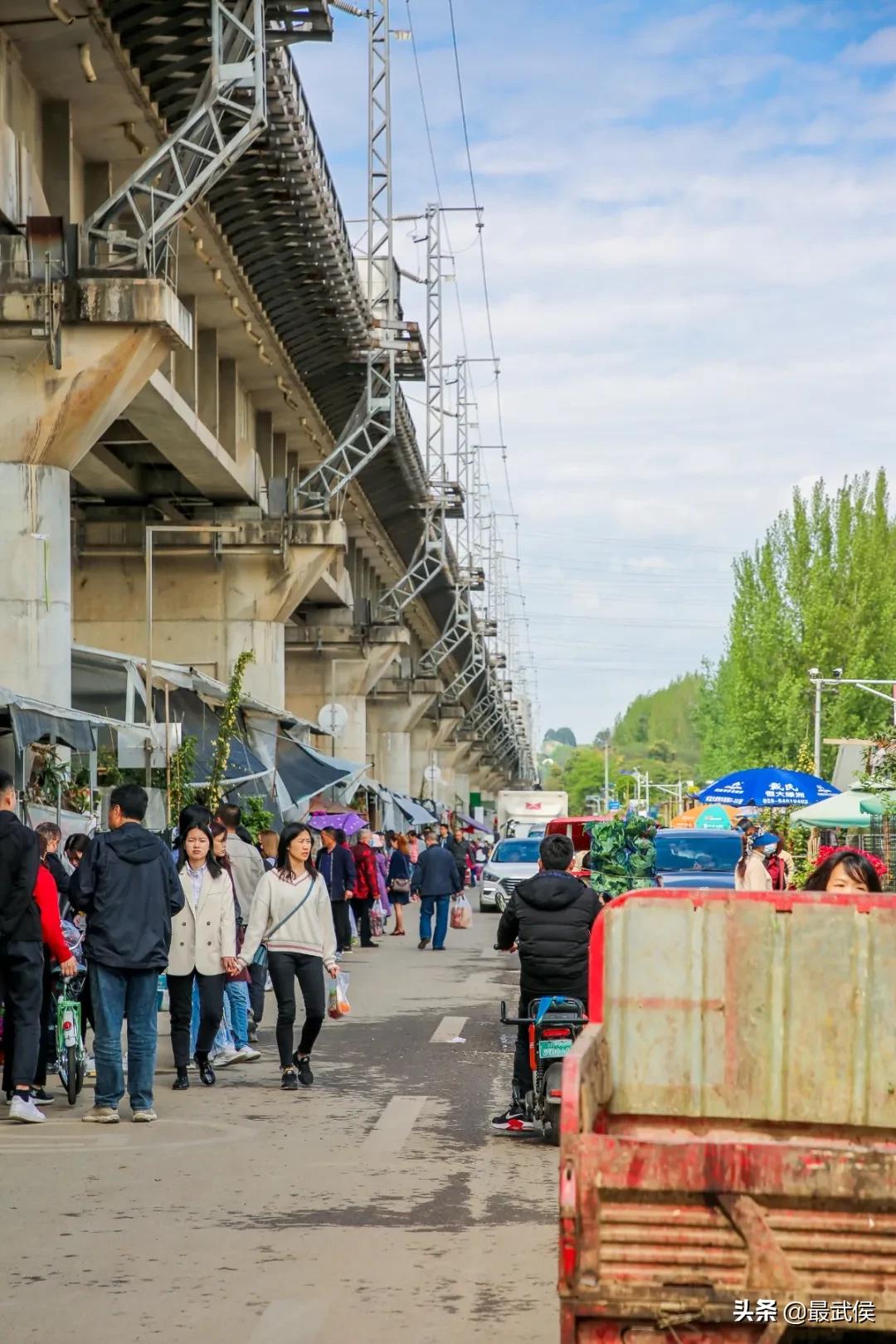 成都便宜的大花市,成都街边卖花一元一束