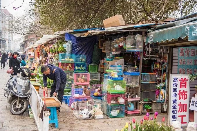 捡的动物尸体做标本收藏,现场解剖动物尸体