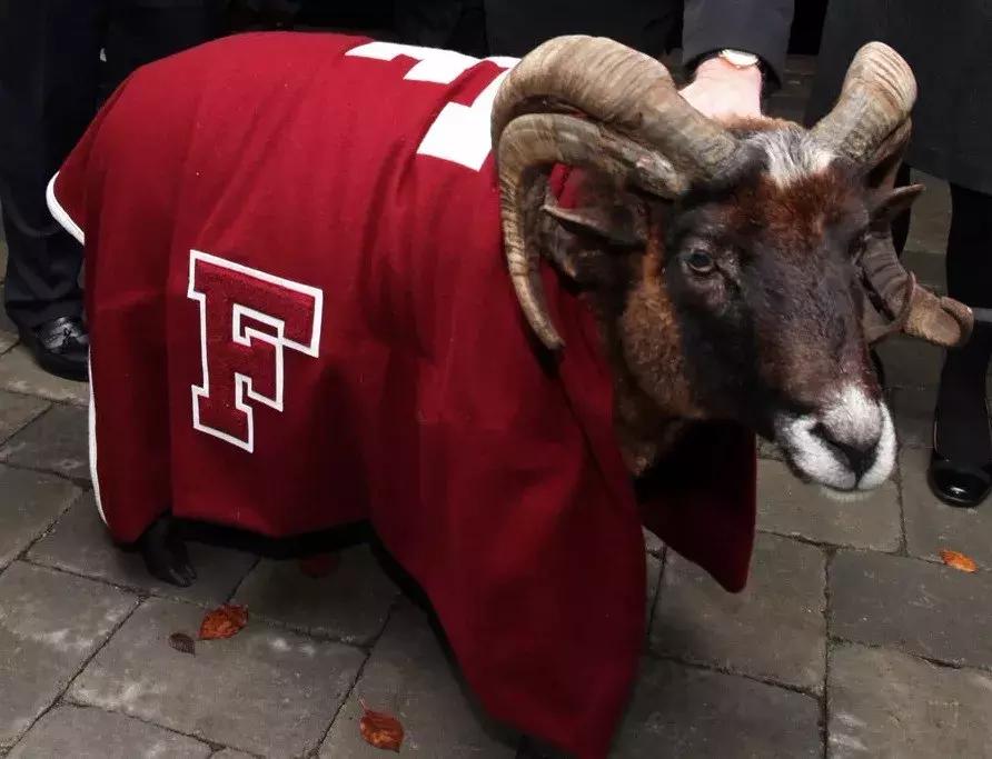 在复旦大学英语系读书是什么体验,在复旦大学读书是什么体验