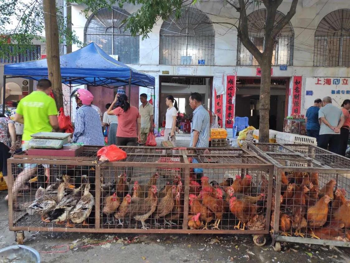 中秋节的福成街头，马路上挤满人的氛围才叫过节！