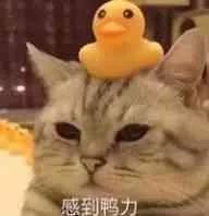 vivo手机怎么删除自带软件,华为手机怎么删除系统自带软件