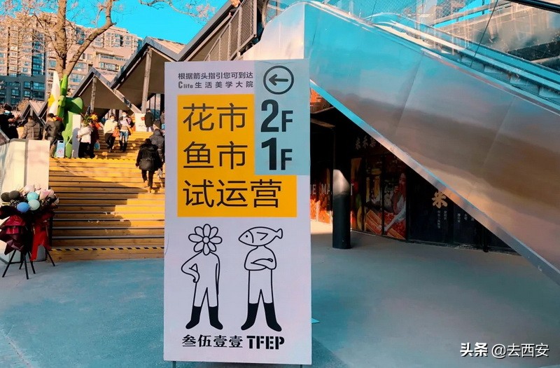 去哪里买多肉植物便宜又好,西安多肉植物哪里买