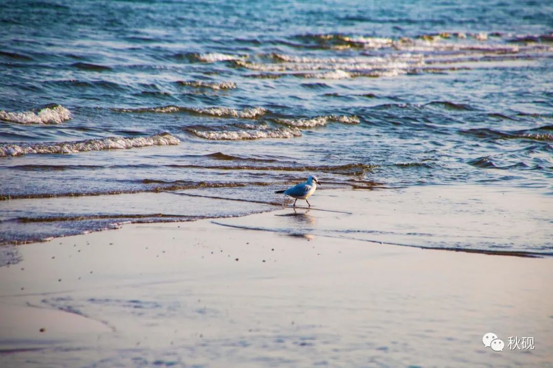 北戴河房车自驾游攻略,南戴河房车自驾游