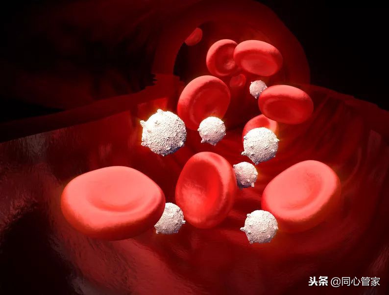 肾功能不全禁用哪种利尿剂,长期服用利尿剂的功效和副作用