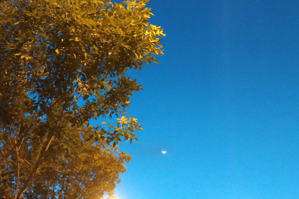 陈子昂最经典的一首诗,陈子昂的经典诗句