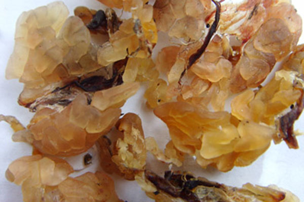 雪蛤里的黄金图片,雪蛤堪比黄金