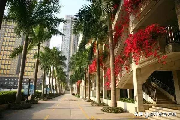 走名校vol.4|囊括省赛四项一等奖，福田中学科创为何如此厉害