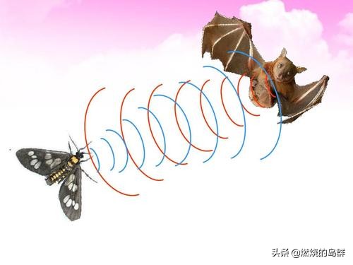 中途岛之胜真的不是靠破译密码,而是这件神兵利器