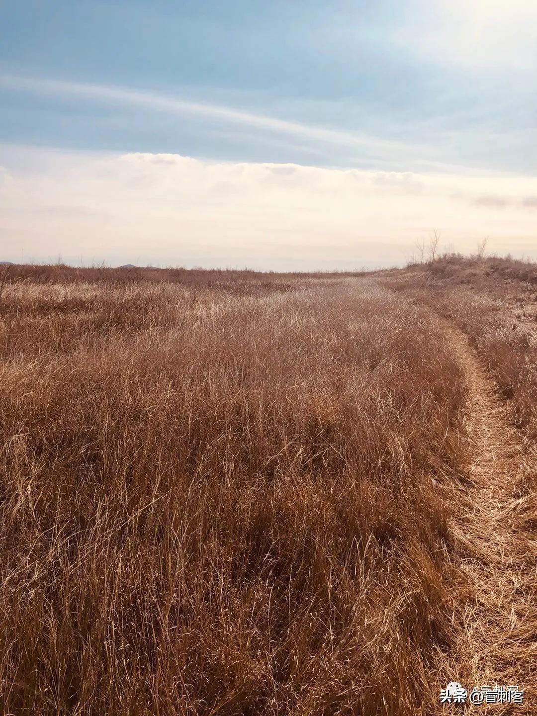 疫情期间抑郁暴躁,疫情期间治疗焦虑的药