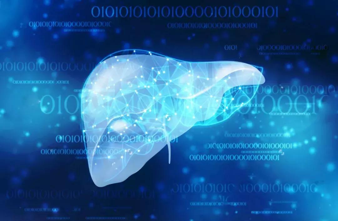 慢性乙型肝炎防治指南2017年版,中国慢性乙型肝炎防治指导