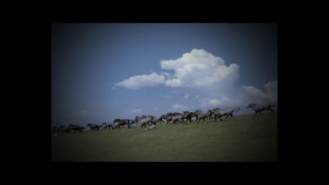 礼县秦人的发祥地,天水礼县哪个是秦人发祥地