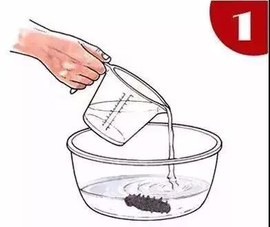 海参蒸蛋海参泡发的正确方法,海参咬不动海参泡发的正确方法