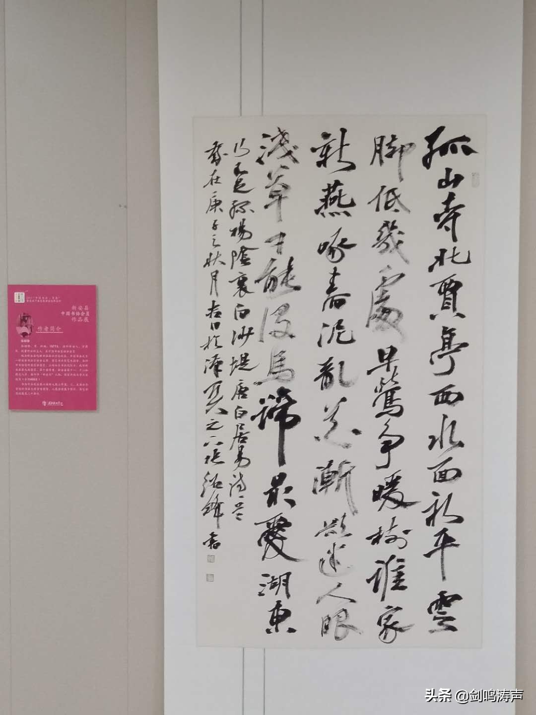 “2019中国书法•年展”之新安县中国书协会员作品展