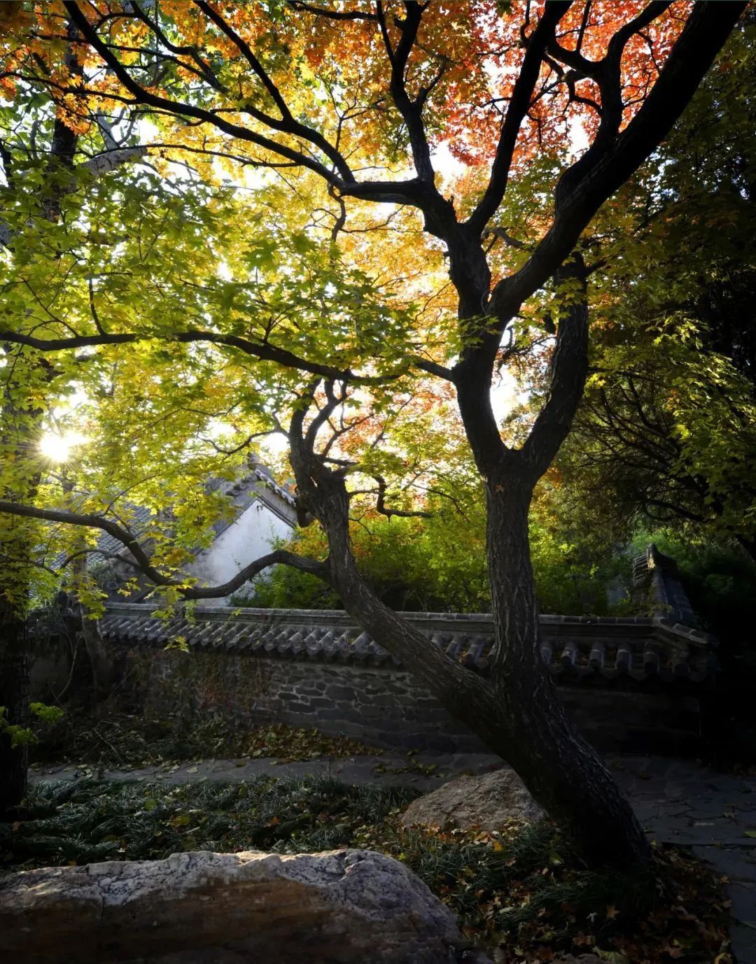 3天2夜游！它是被低估的海滨小城，藏着独属于11月的盛大美景|冬游齐鲁