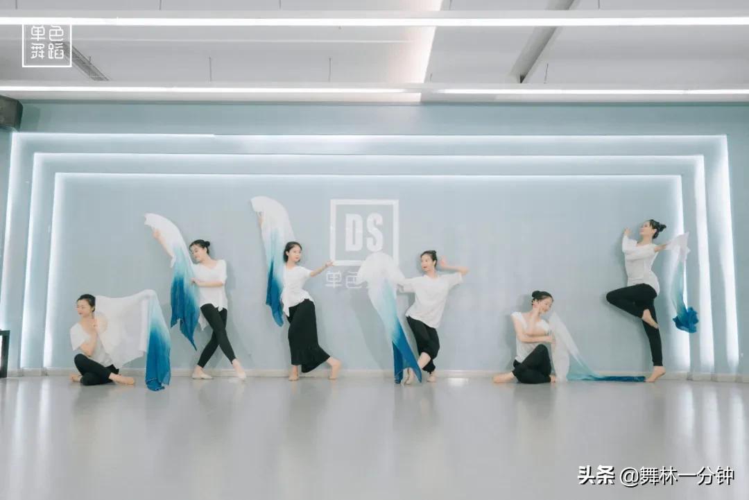 舞蹈生实习收获与体会,古典舞蹈体会