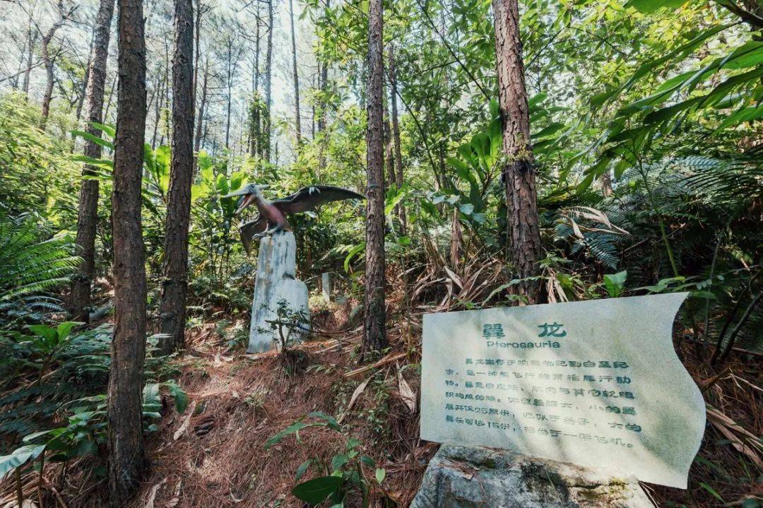 清远森波拉温泉度假村酒店好玩吗,清远森波拉温泉度假酒店附近景点