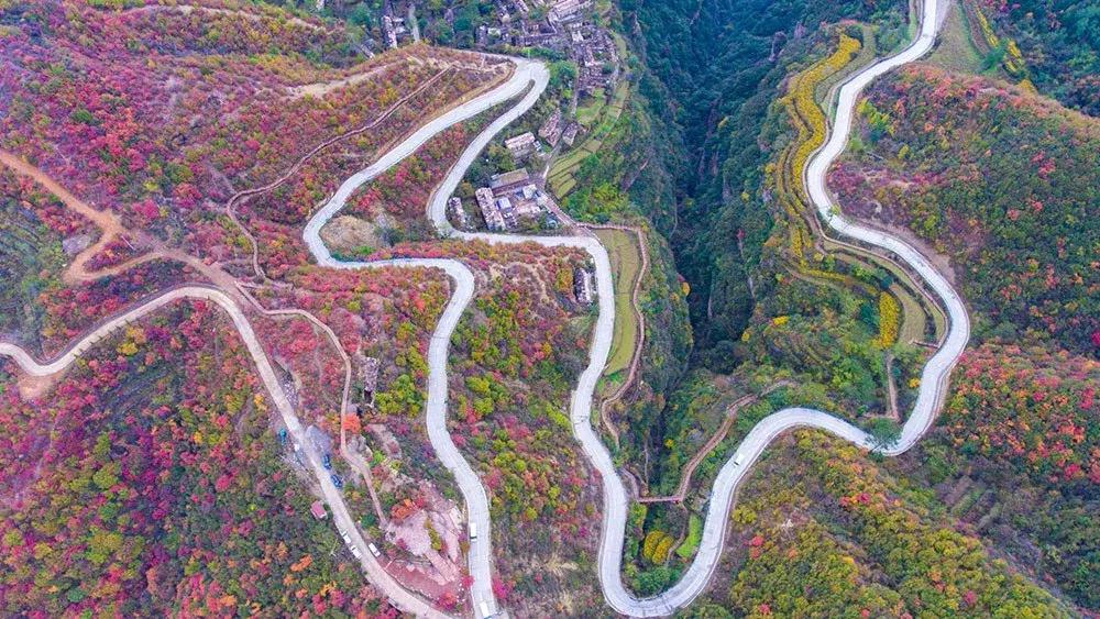 来迟了古诗词,来迟了原版