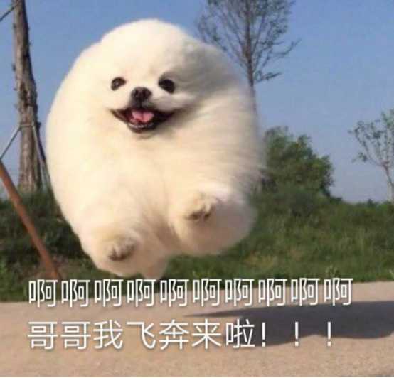 有一个笑话可以笑死人,笑话笑死人的经典段子