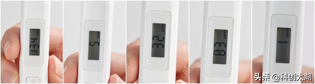 用多少度的茶泡茶最好喝,蒲公英根茶与什么泡茶最好