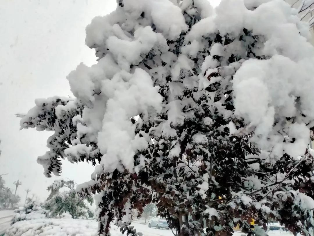 平凉崆峒区四路车现在停运了吗,平凉长途客车停运了吗