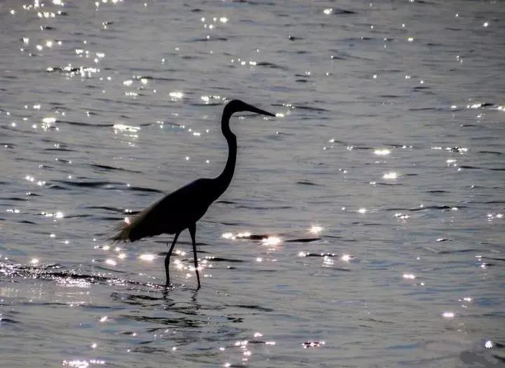 秋天杭州冷门但好看的景点,杭州赏秋景最好的地方