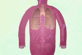 怀孕三个月后老公确诊肺结核,怀孕3个月我老公查出肺结核