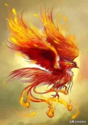 揭秘山海经的所有神兽,山海经75种神兽图片大全