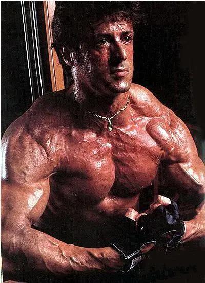 西尔维斯特·史泰龙经典作品,西尔维斯特史泰龙不老战神