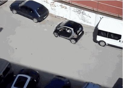 回家的路上看到这么多钱，背包都装不下啊，现在该怎么办