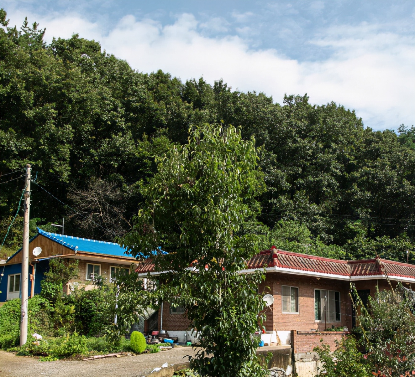 折合人民币不到1元的出租车坐过吗?这一现象出现在韩国农村里