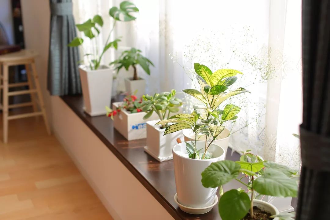 生活本身就是张爱的PH试纸，真爱无须寻觅、挚爱不要测试