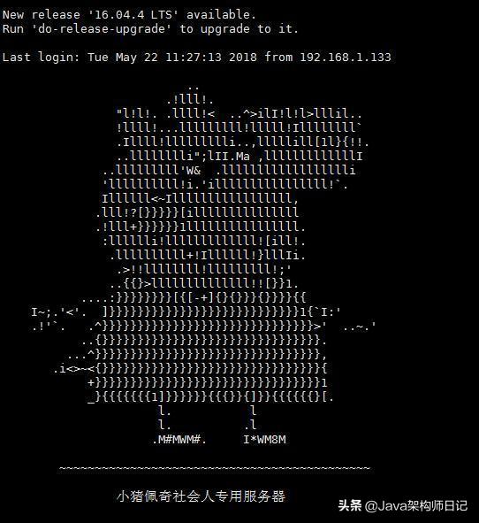 没头发有钱,没时间的同时还没钱