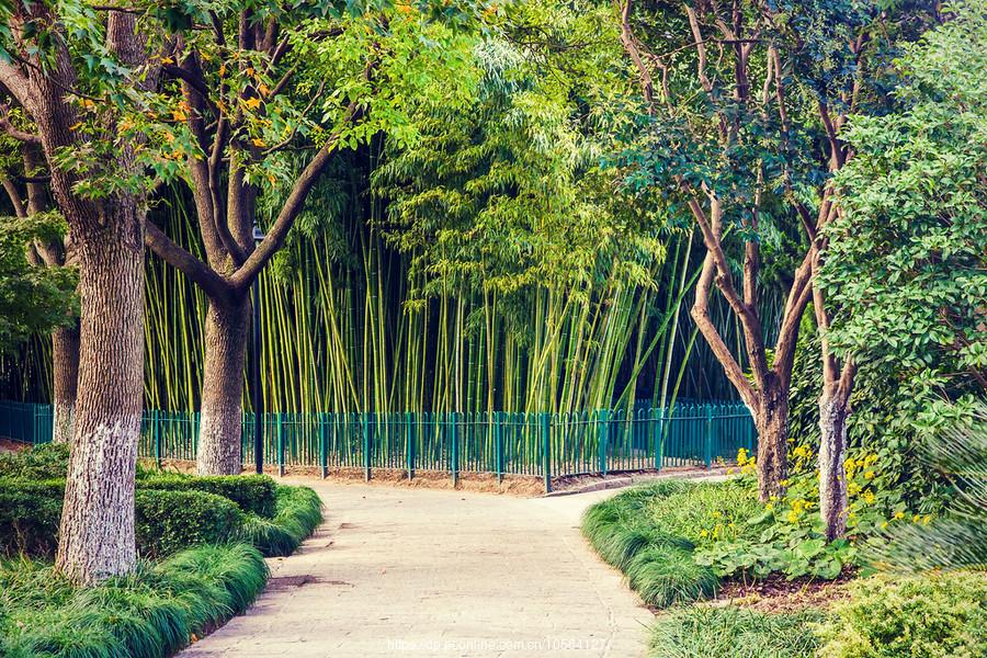 浦东新区有多少个街道和多少个镇,浦东新区是几环