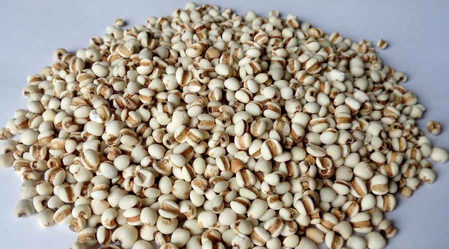 刚怀孕的孕妇需要注意什么食物,孕妇最忌讳的十种食物