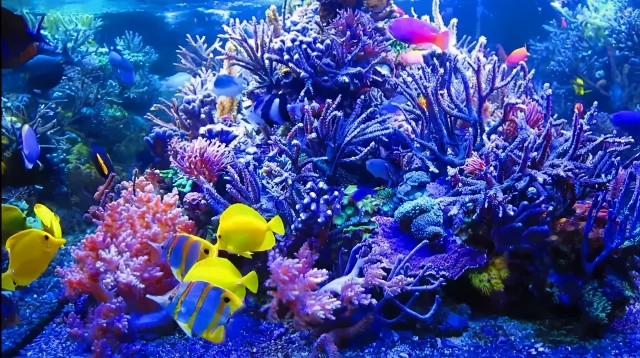 你真的已经准备好换一个更大的爱缸了吗？