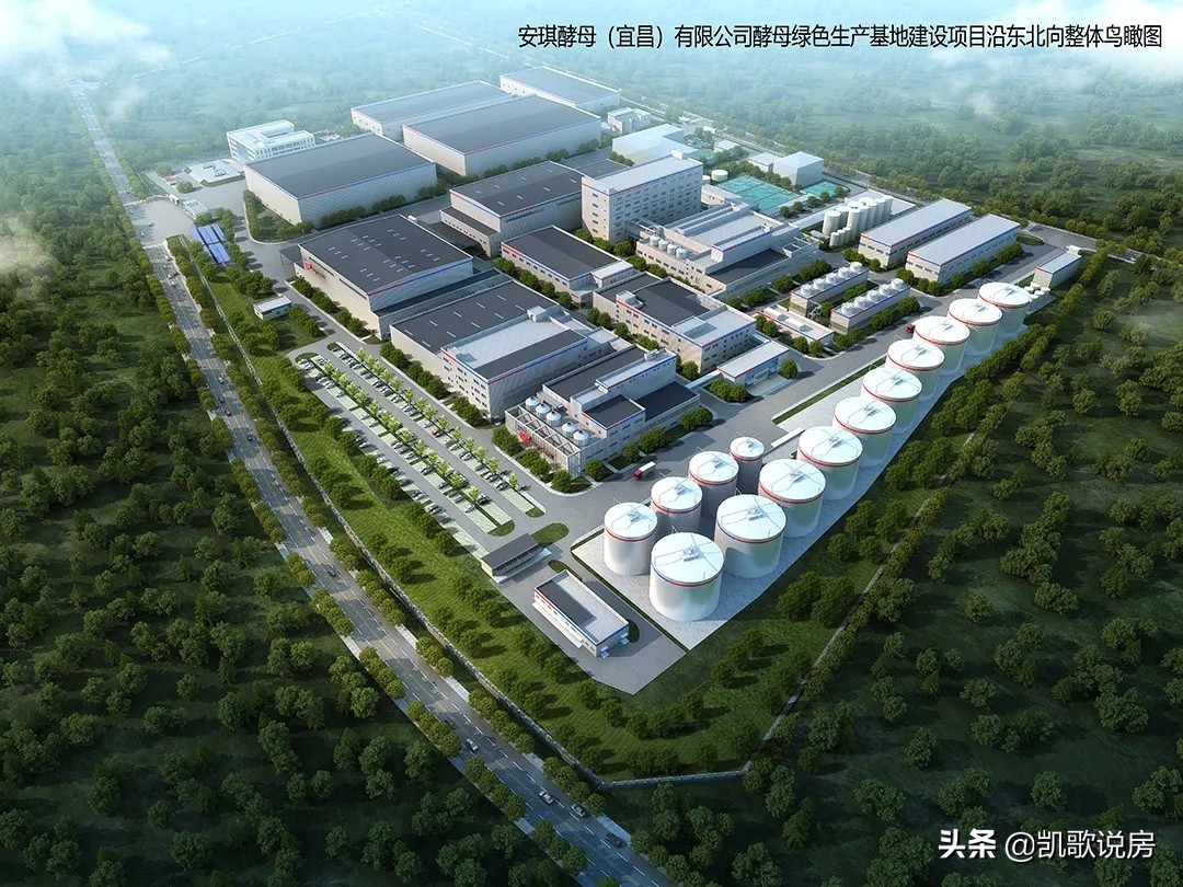 安琪现在状态,安琪以前是被抛弃的吗